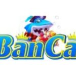 Foto del profilo di banca28comvc