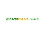 Foto del profilo di bongdaluforex